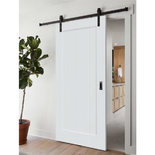Classic Series - One Panel Painted Finish Barn Door