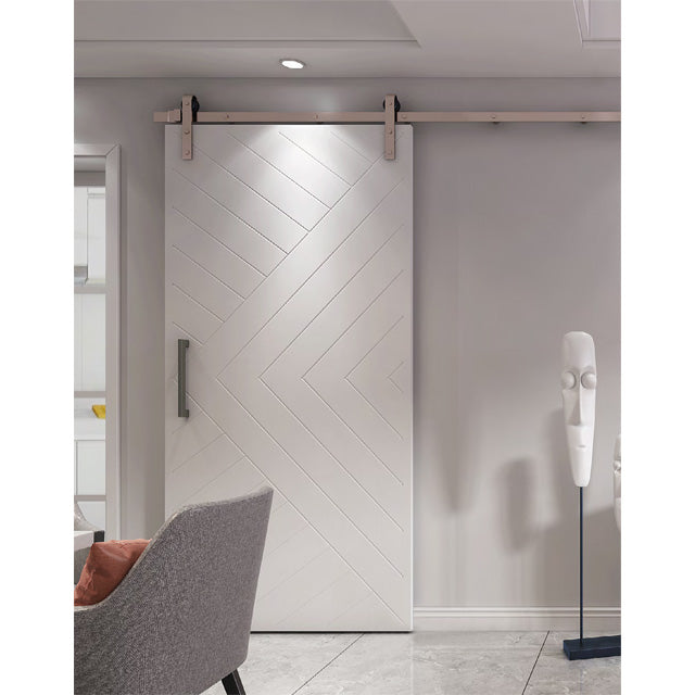 Custom Simplicity Series - Arctic Painted Finish Barn Door