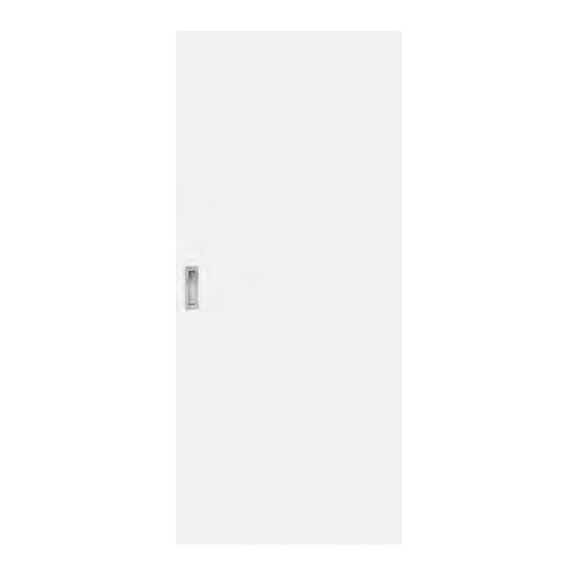 Custom Simplicity Series - Flush Painted Finish Barn Door