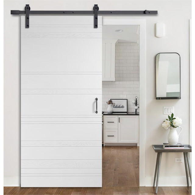 Custom Simplicity Series - Horizon Painted Finish Barn Door